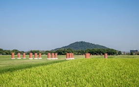 Post 62 Image
