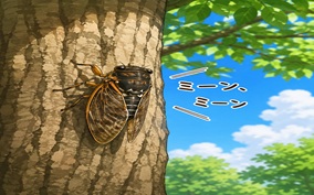 Post 86 Image